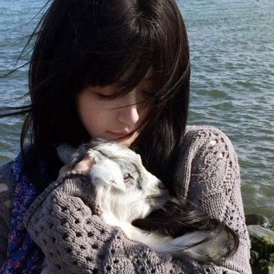 狼少女与黑王子2014
