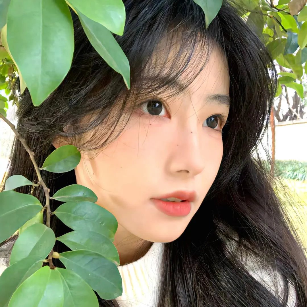 伴我情深